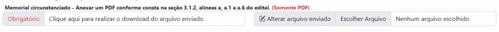 Exemplo de campo com arquivo enviado